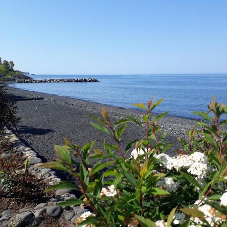 Pasa Tatil Koeyue Akcaabat Exterior photo